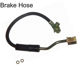 Brake Hose