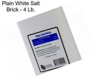 Plain White Salt Brick - 4 Lb.