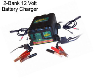 2-Bank 12 Volt Battery Charger