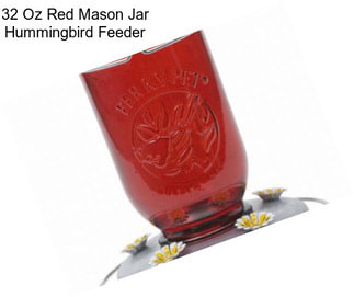 32 Oz Red Mason Jar Hummingbird Feeder