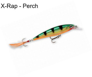 X-Rap - Perch