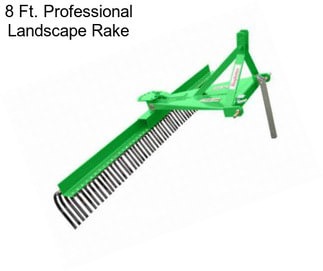 8 Ft. Professional Landscape Rake