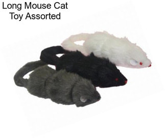 Long Mouse Cat Toy Assorted