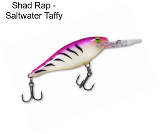 Shad Rap - Saltwater Taffy