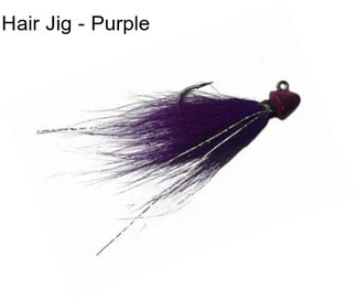 Hair Jig - Purple