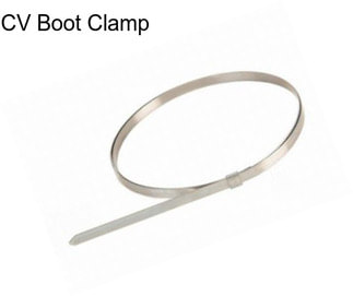 CV Boot Clamp