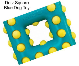 Dotz Square Blue Dog Toy