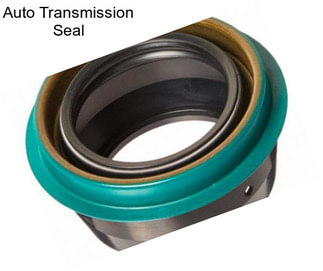 Auto Transmission Seal