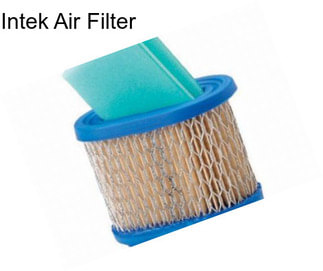 Intek Air Filter