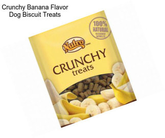 Crunchy Banana Flavor Dog Biscuit Treats
