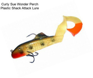 Curly Sue Wonder Perch Plastic Shack Attack Lure