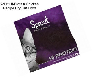 Adult Hi-Protein Chicken Recipe Dry Cat Food