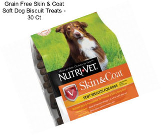 Grain Free Skin & Coat Soft Dog Biscuit Treats - 30 Ct