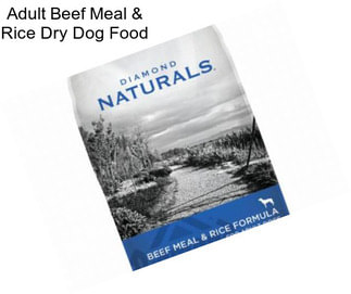 Adult Beef Meal & Rice Dry Dog Food