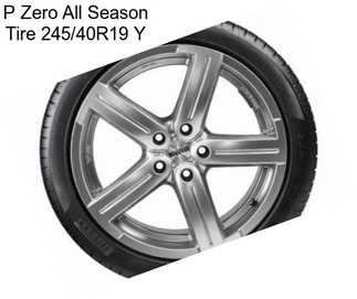 P Zero All Season Tire 245/40R19 Y