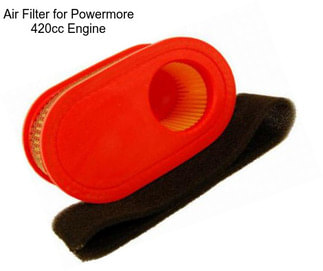 Air Filter for Powermore 420cc Engine