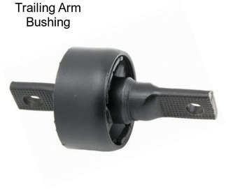 Trailing Arm Bushing