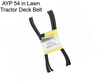 AYP 54 in Lawn Tractor Deck Belt