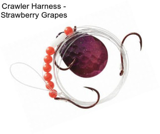 Crawler Harness - Strawberry Grapes
