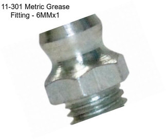 11-301 Metric Grease Fitting - 6MMx1