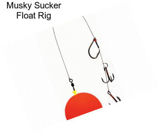 Musky Sucker Float Rig