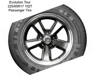 Evolution Tour 225/65R17 102T Passenger Tire