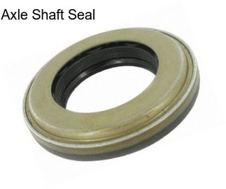 Axle Shaft Seal