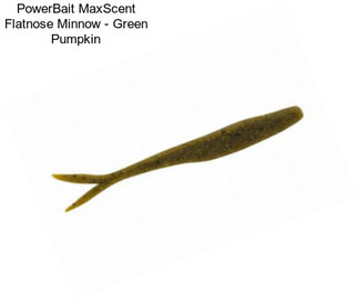 PowerBait MaxScent Flatnose Minnow - Green Pumpkin