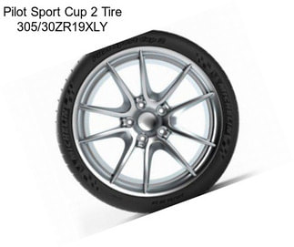 Pilot Sport Cup 2 Tire 305/30ZR19XLY