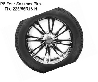 P6 Four Seasons Plus Tire 225/55R18 H