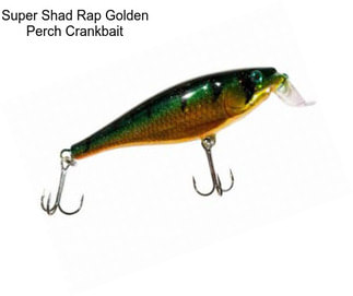 Super Shad Rap Golden Perch Crankbait