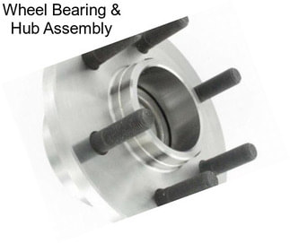 Wheel Bearing & Hub Assembly