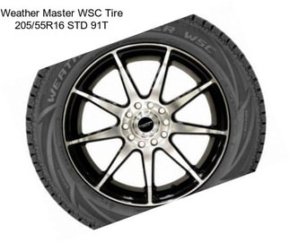 Weather Master WSC Tire 205/55R16 STD 91T