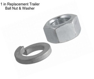 1 in Replacement Trailer Ball Nut & Washer