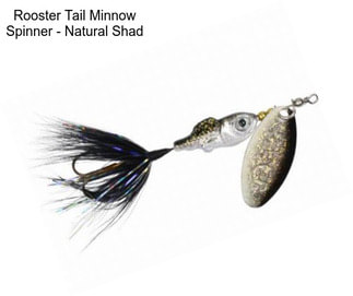 Rooster Tail Minnow Spinner - Natural Shad