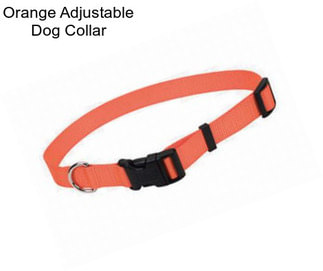 Orange Adjustable Dog Collar