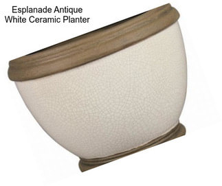 Esplanade Antique White Ceramic Planter