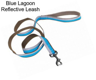 Blue Lagoon Reflective Leash