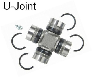 U-Joint