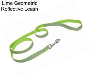 Lime Geometric Reflective Leash