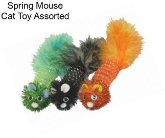Spring Mouse Cat Toy Assorted