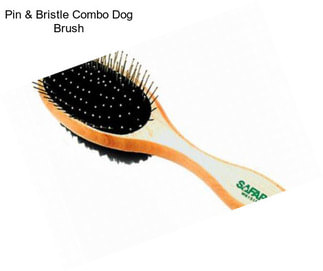 Pin & Bristle Combo Dog Brush