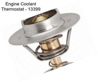 Engine Coolant Thermostat - 13399