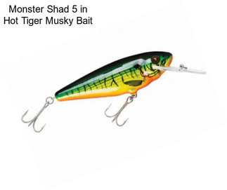 Monster Shad 5 in Hot Tiger Musky Bait