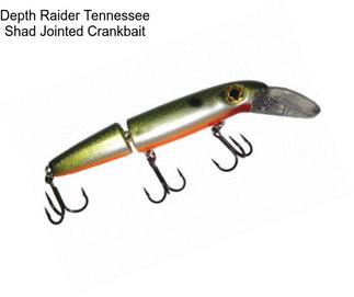 Depth Raider Tennessee Shad Jointed Crankbait