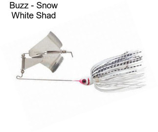 Buzz - Snow White Shad