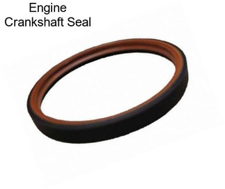 Engine Crankshaft Seal