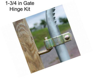 1-3/4 in Gate Hinge Kit