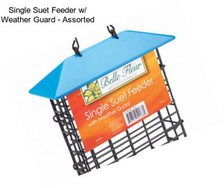 Single Suet Feeder w/ Weather Guard - Assorted