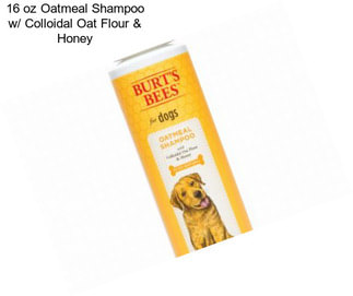 16 oz Oatmeal Shampoo w/ Colloidal Oat Flour & Honey